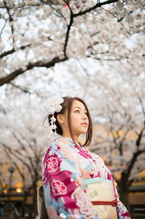 日本旅行拍摄婚纱情侣写真 樱花今日发,思君且盼君