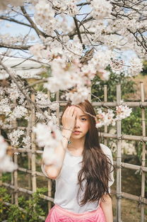 日本旅行拍摄婚纱情侣写真 樱花今日发,思君且盼君